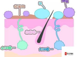 2025年介绍：摸揉真能让“下面”变大？性行为中的神奇生理现象